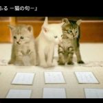 キャプチャ