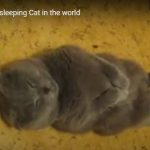 キャプチャ