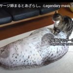 キャプチャ