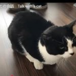 キャプチャ