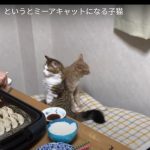 キャプチャ