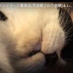 キャプチャ