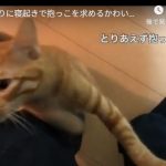 キャプチャ