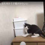キャプチャ