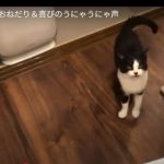 キャプチャ