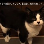 キャプチャ
