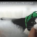 キャプチャ