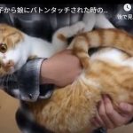 キャプチャ