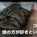 キャプチャ