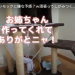 キャプチャ