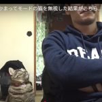 キャプチャ