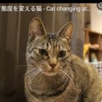 キャプチャ