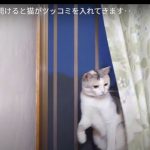 キャプチャ