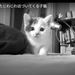 キャプチャ