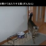 キャプチャ