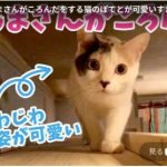 キャプチャ
