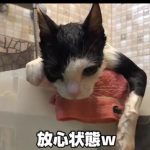 キャプチャ
