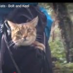 キャプチャ