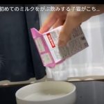 キャプチャ