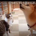 キャプチャ