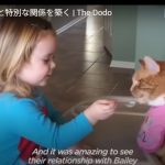 キャプチャ