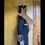 キャプチャ
