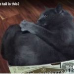 キャプチャ