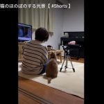 キャプチャ
