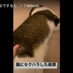 キャプチャ