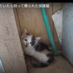 キャプチャ