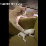 キャプチャ