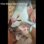 キャプチャ