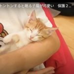 キャプチャ