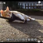 キャプチャ