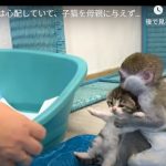 キャプチャ