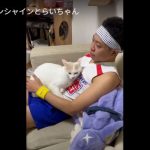 キャプチャ