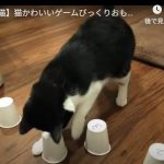 キャプチャ