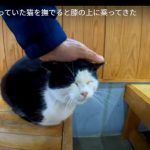 キャプチャ