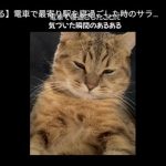 キャプチャ