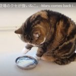 キャプチャ