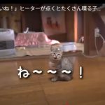 キャプチャ