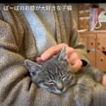 キャプチャ
