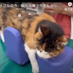 キャプチャ