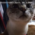 キャプチャ