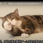 キャプチャ