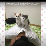 キャプチャ
