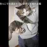 キャプチャ