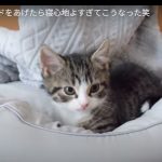 キャプチャ