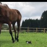 キャプチャ
