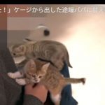 キャプチャ